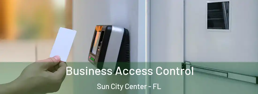Business Access Control Sun City Center - FL