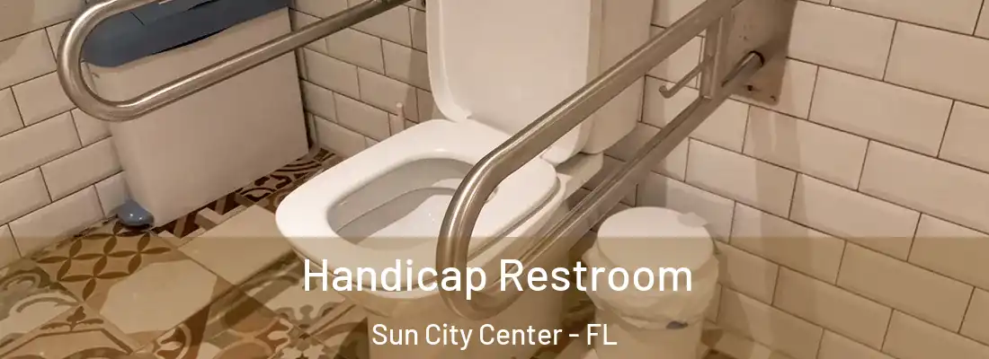 Handicap Restroom Sun City Center - FL