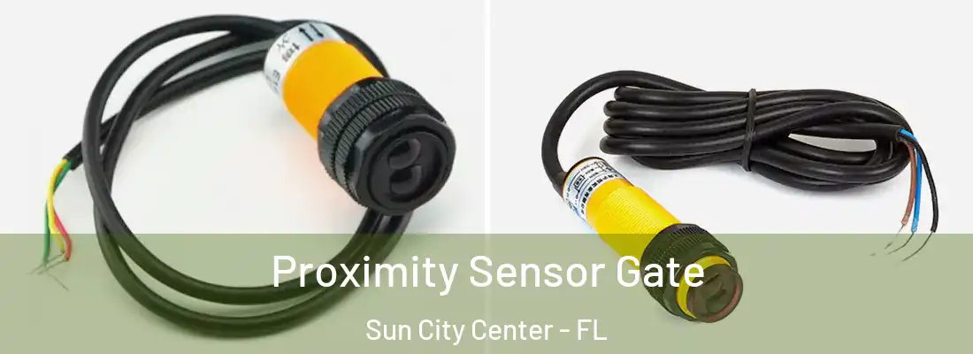Proximity Sensor Gate Sun City Center - FL